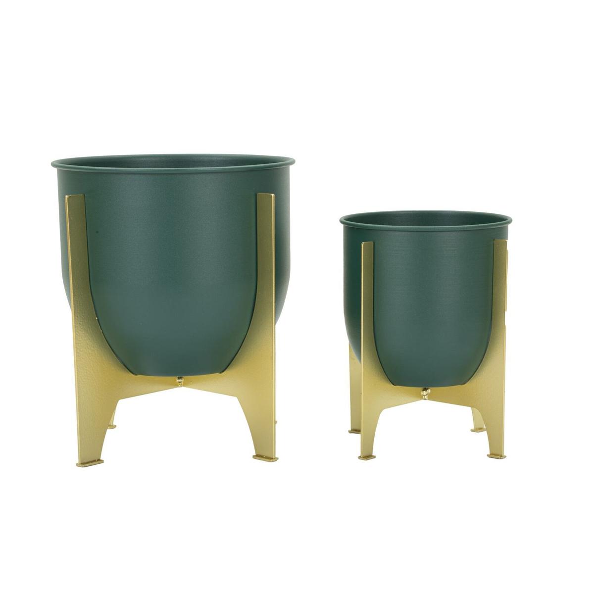 product/m/a/mauro-ferretti_1428600000_green-gold_2.jpg