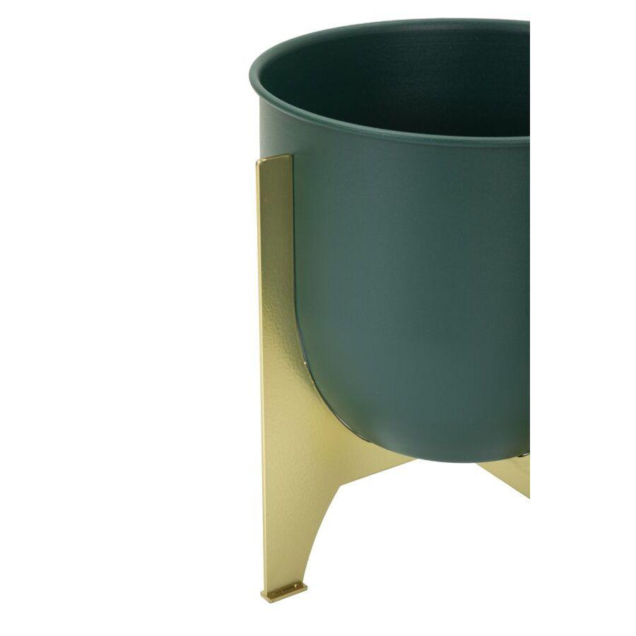 product/m/a/mauro-ferretti_1428600000_green-gold_4.jpg