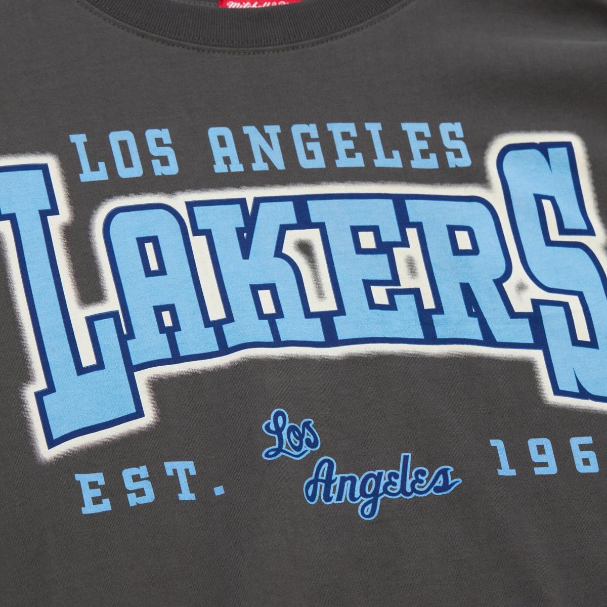 product/m/i/mitchell-ness_sste7900-lalyypppgrey_grey_3.jpg