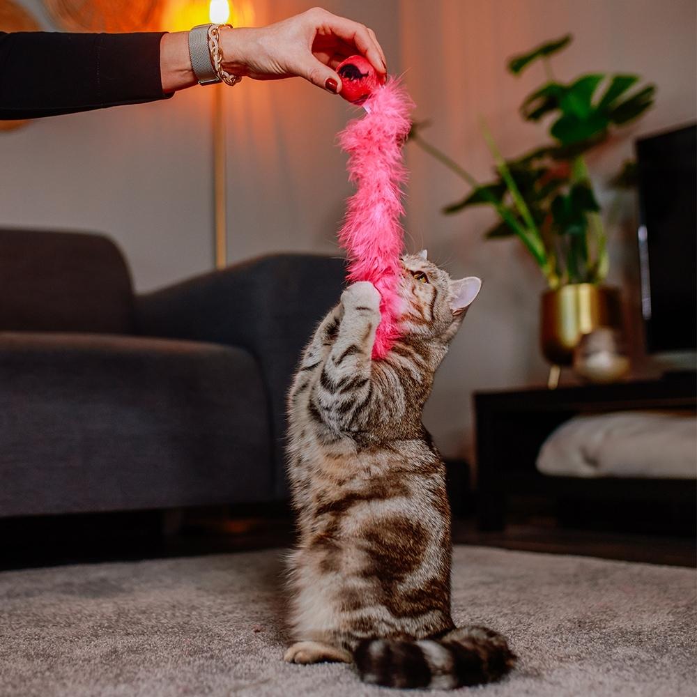 product/n/o/nobby-pet_71924_2.jpg
