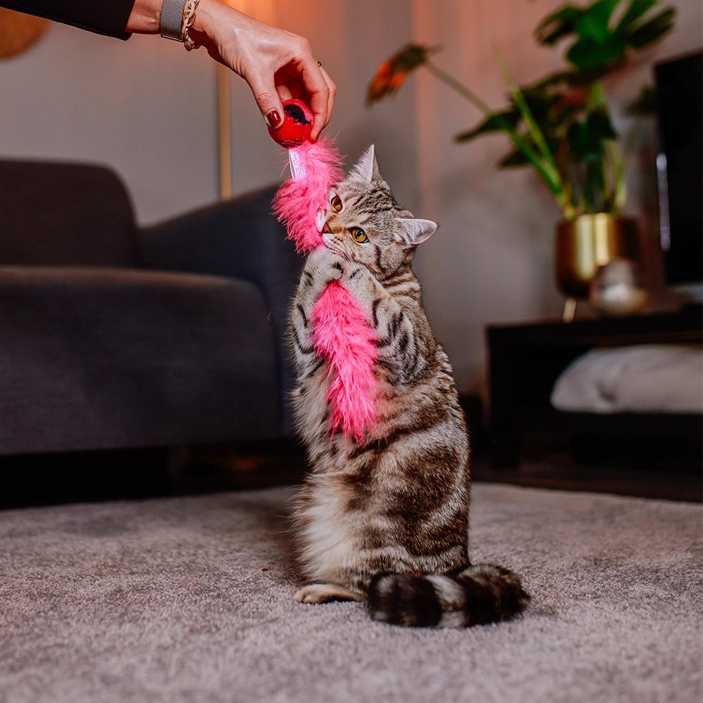 product/n/o/nobby-pet_71924_3.jpg