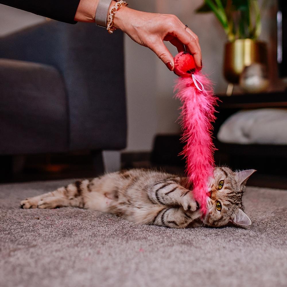 product/n/o/nobby-pet_71924_4.jpg