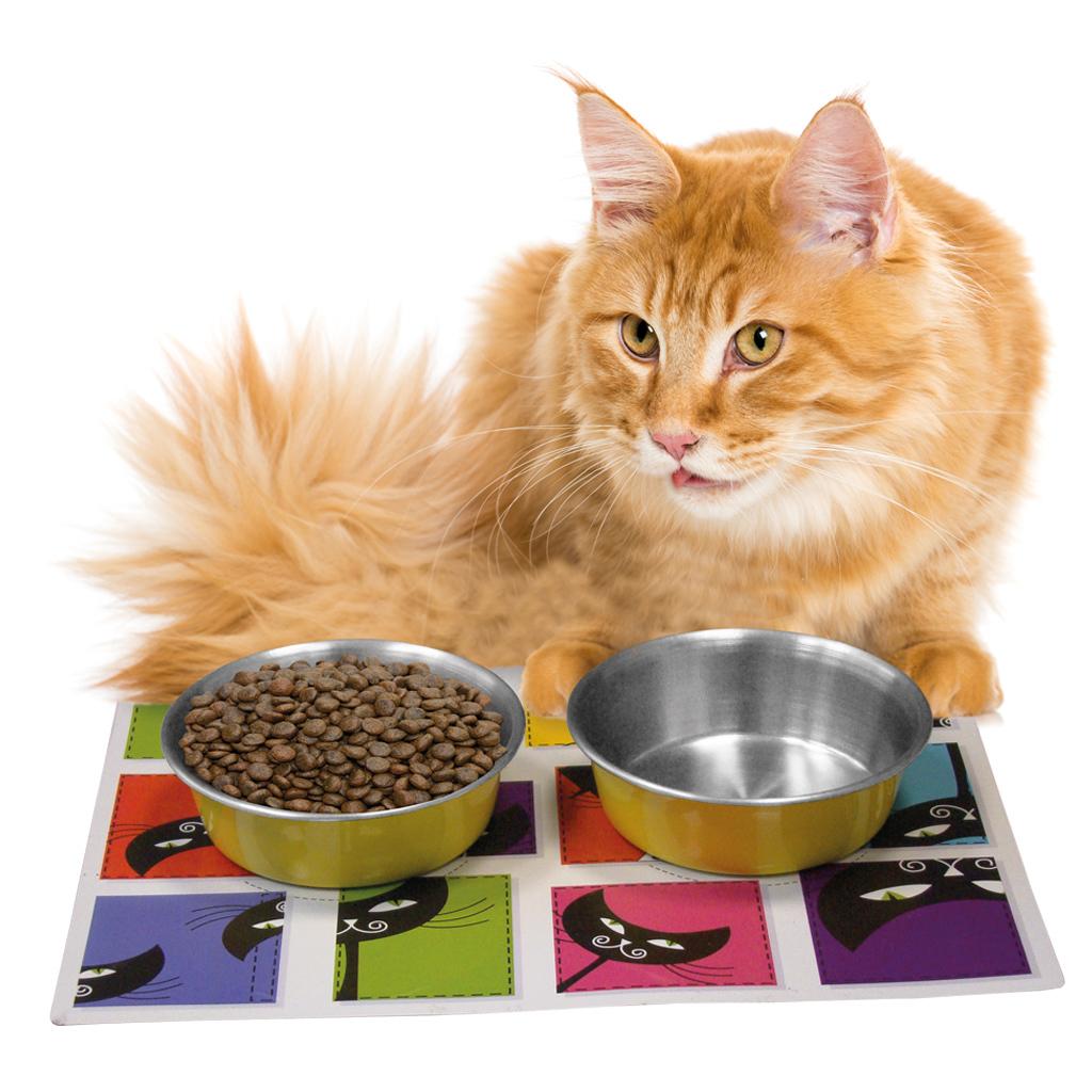 product/n/o/nobby-pet_73819_1.jpg