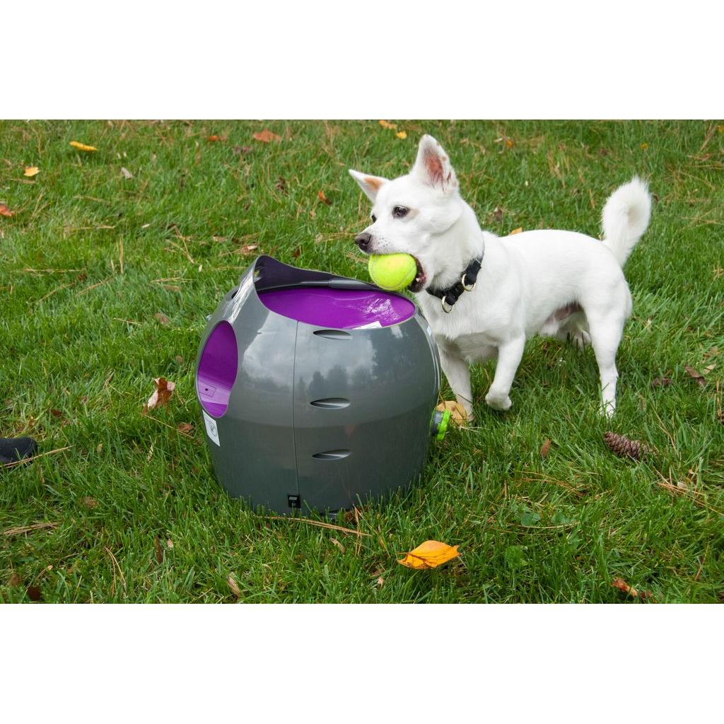 product/p/e/petsafe_cy1074_1.jpg