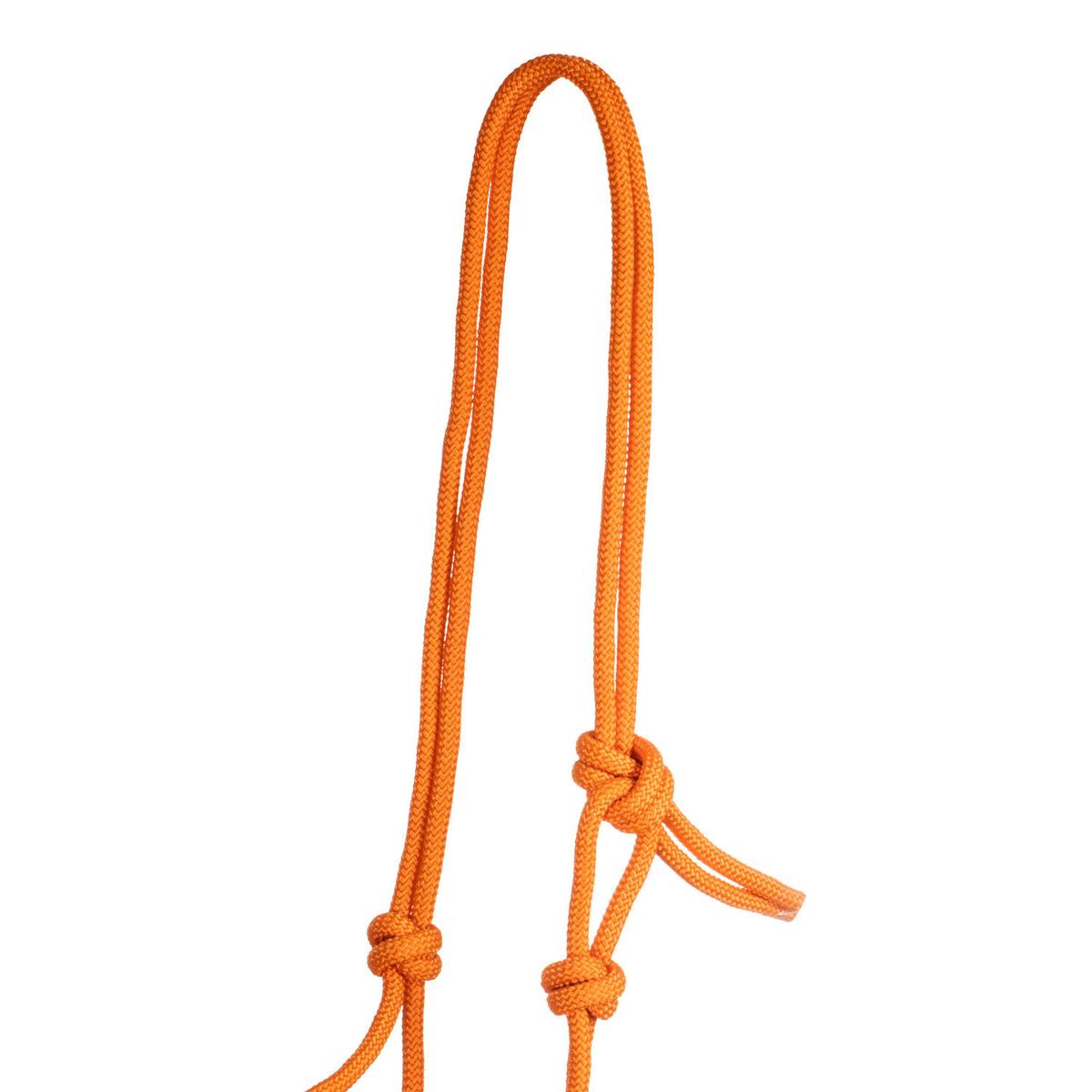 product/p/o/pool-s_ca00129-orange_orange_2.jpg