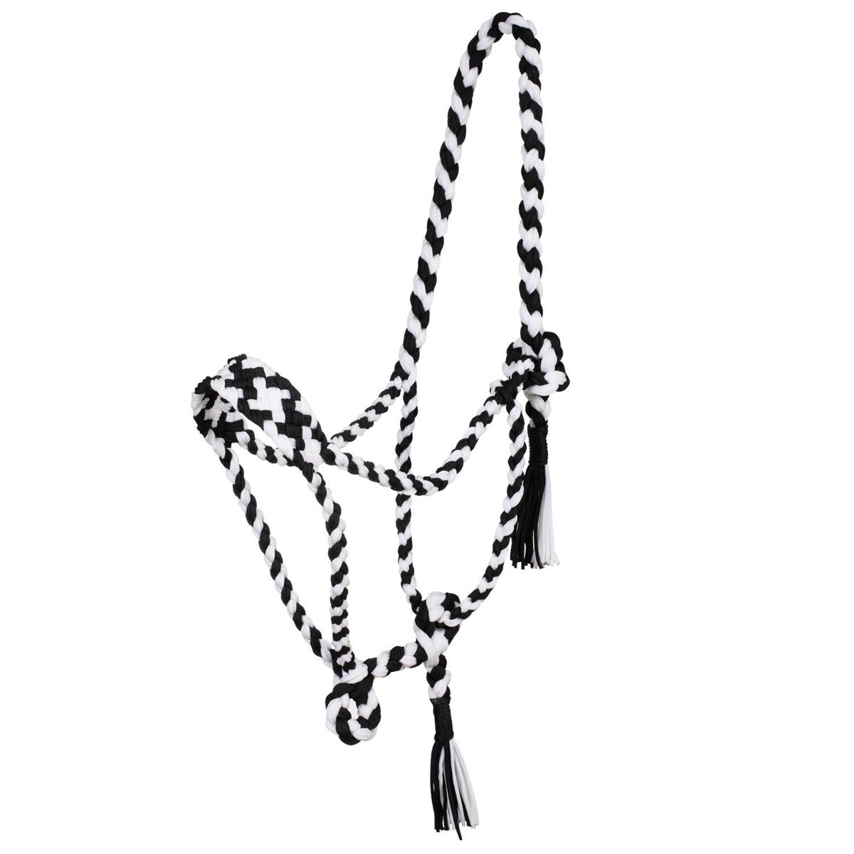 product/p/o/pool-s_plh03002-black_white_black-white_1.jpg