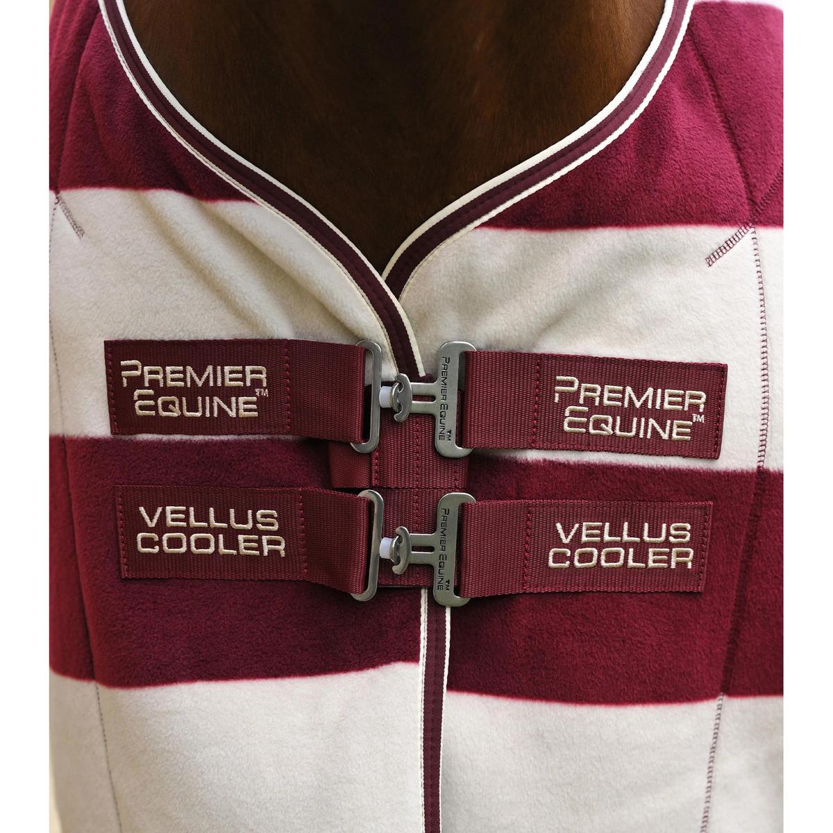 product/p/r/premier-equine-209850brgw-burgundy-white-2.jpg