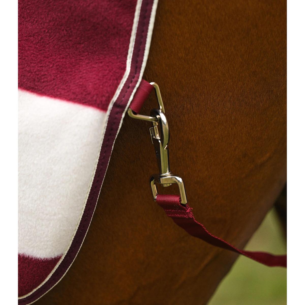 product/p/r/premier-equine-2162lbrgw-burgundy-white-4.jpg