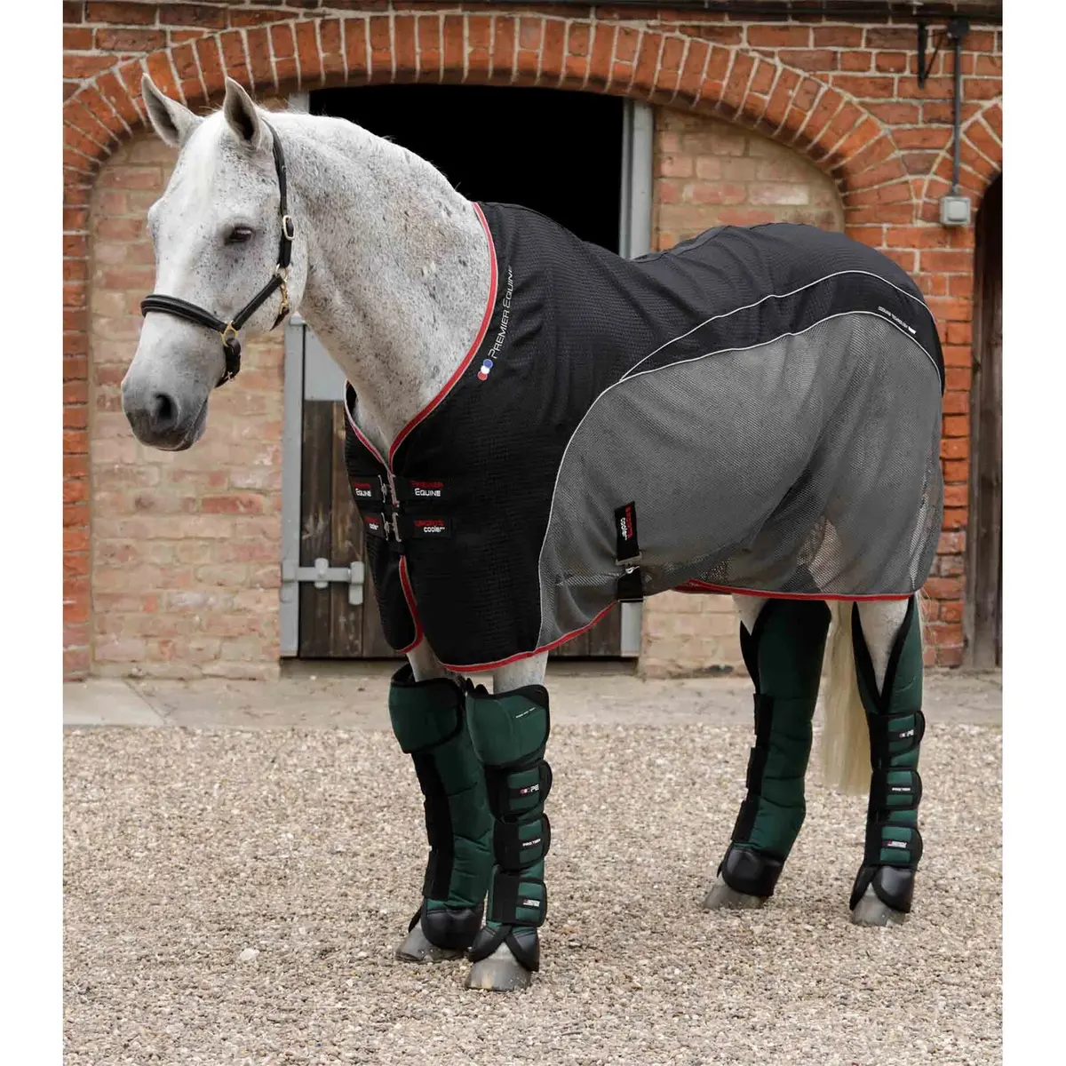 product/p/r/premier-equine_1007lg_2.jpg