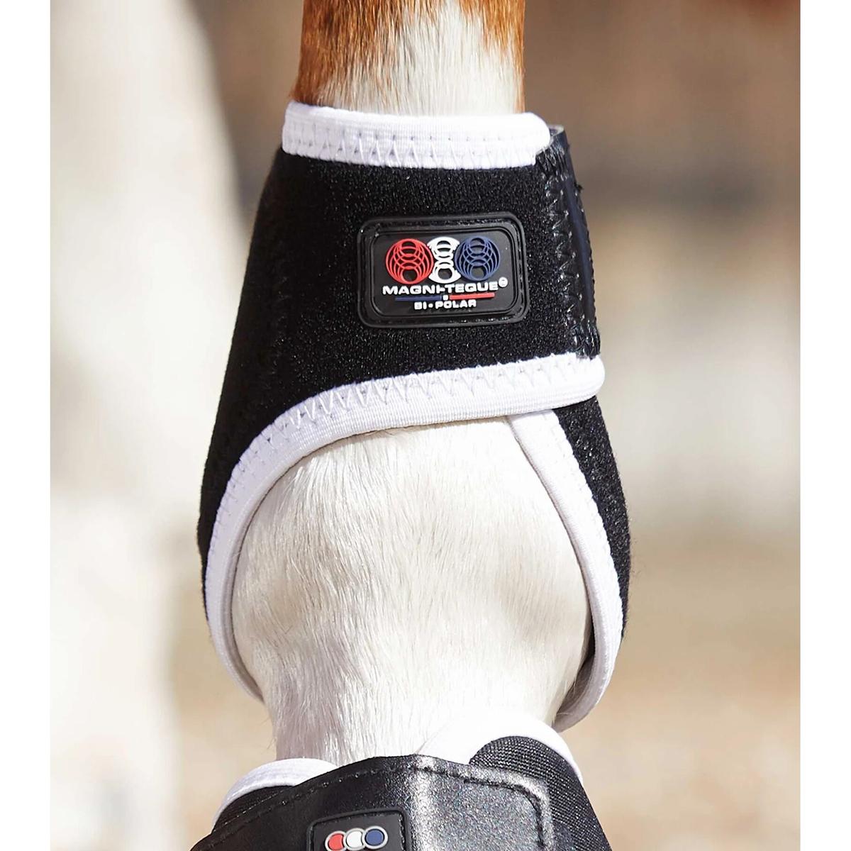 product/p/r/premier-equine_1013_4.jpg