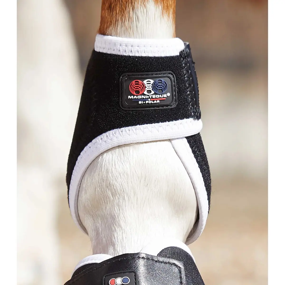 product/p/r/premier-equine_1013_4.jpg