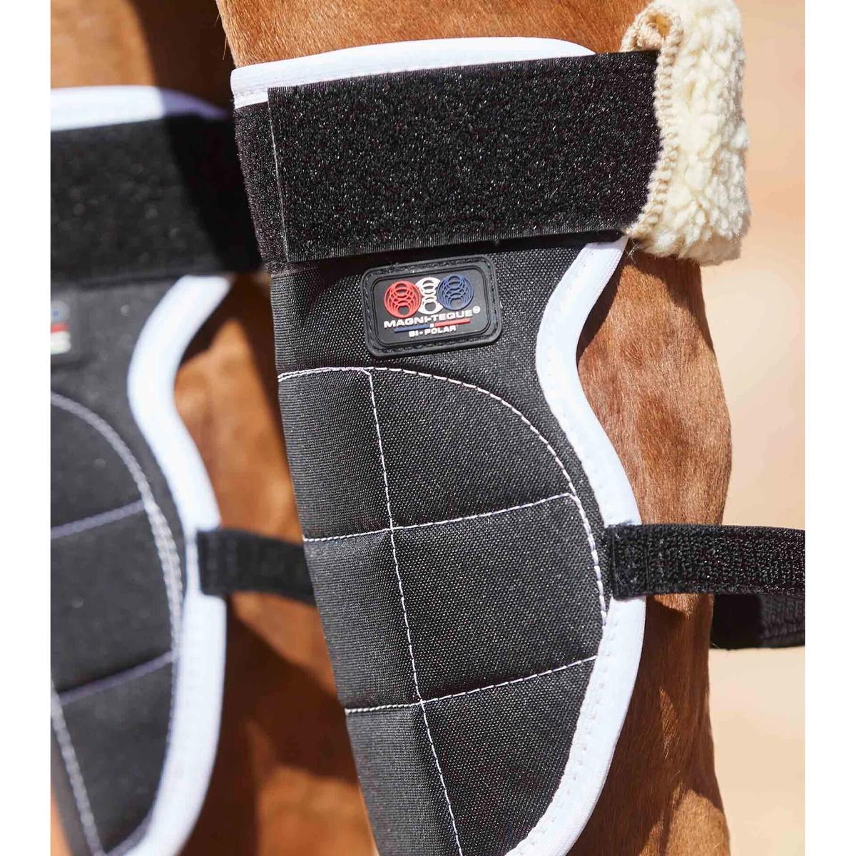 product/p/r/premier-equine_1014_5.jpg