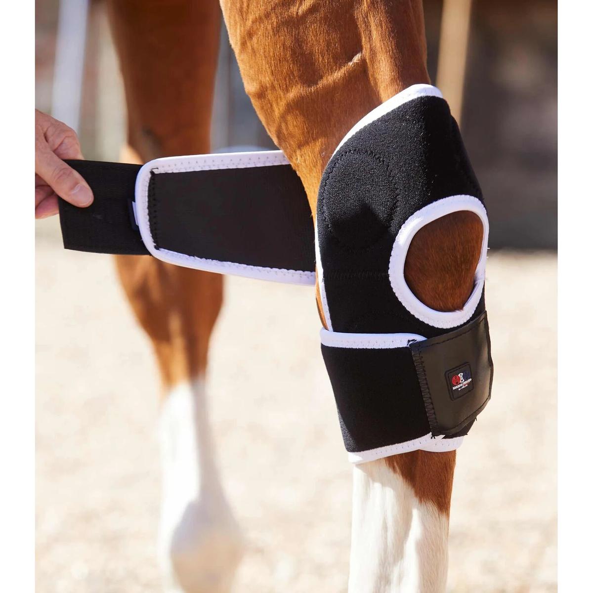product/p/r/premier-equine_1016_5.jpg