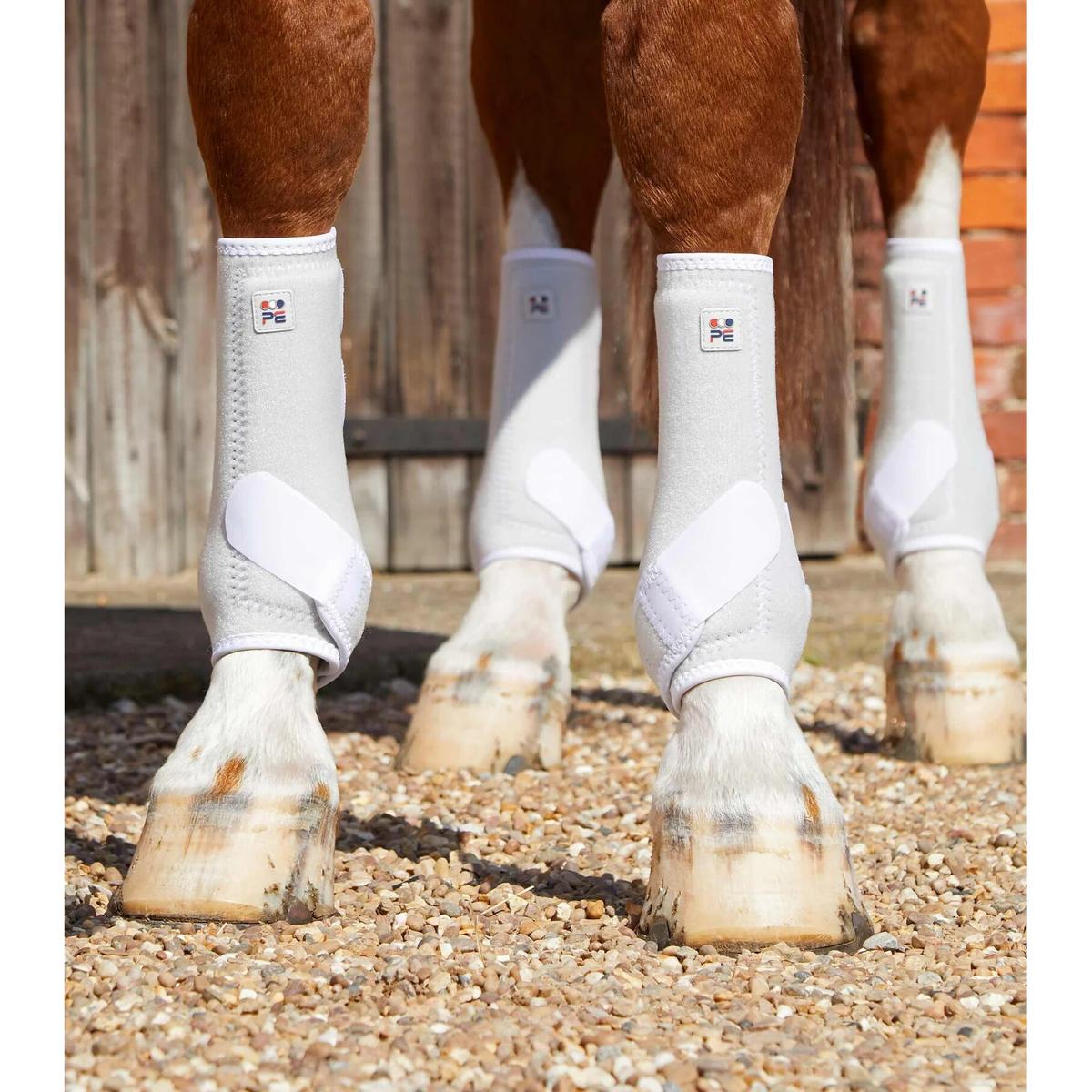 product/p/r/premier-equine_1029xlw_2.jpg