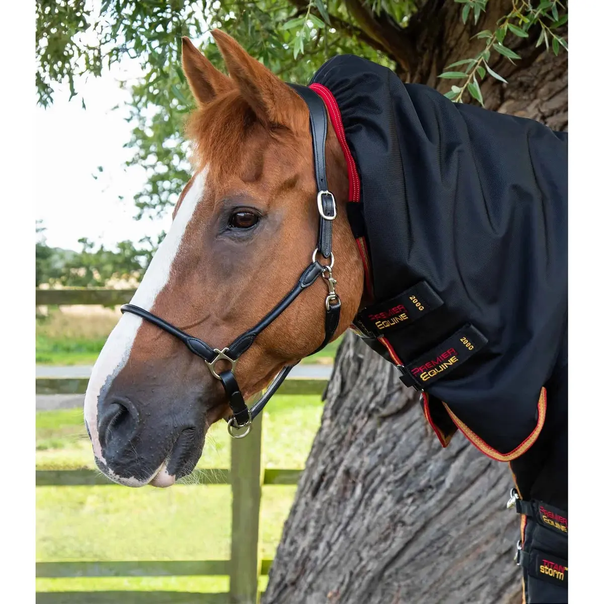 product/p/r/premier-equine_200450b_2.jpg