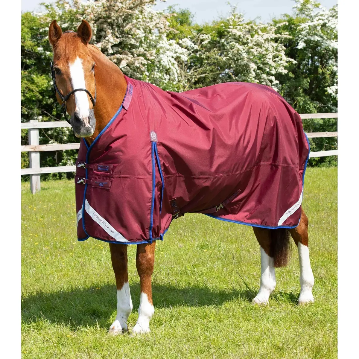 product/p/r/premier-equine_203450brg_5.jpg