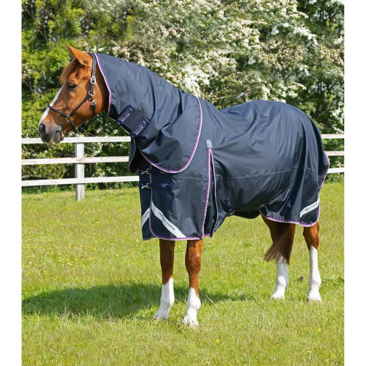 product/p/r/premier-equine_203750n_1.jpg