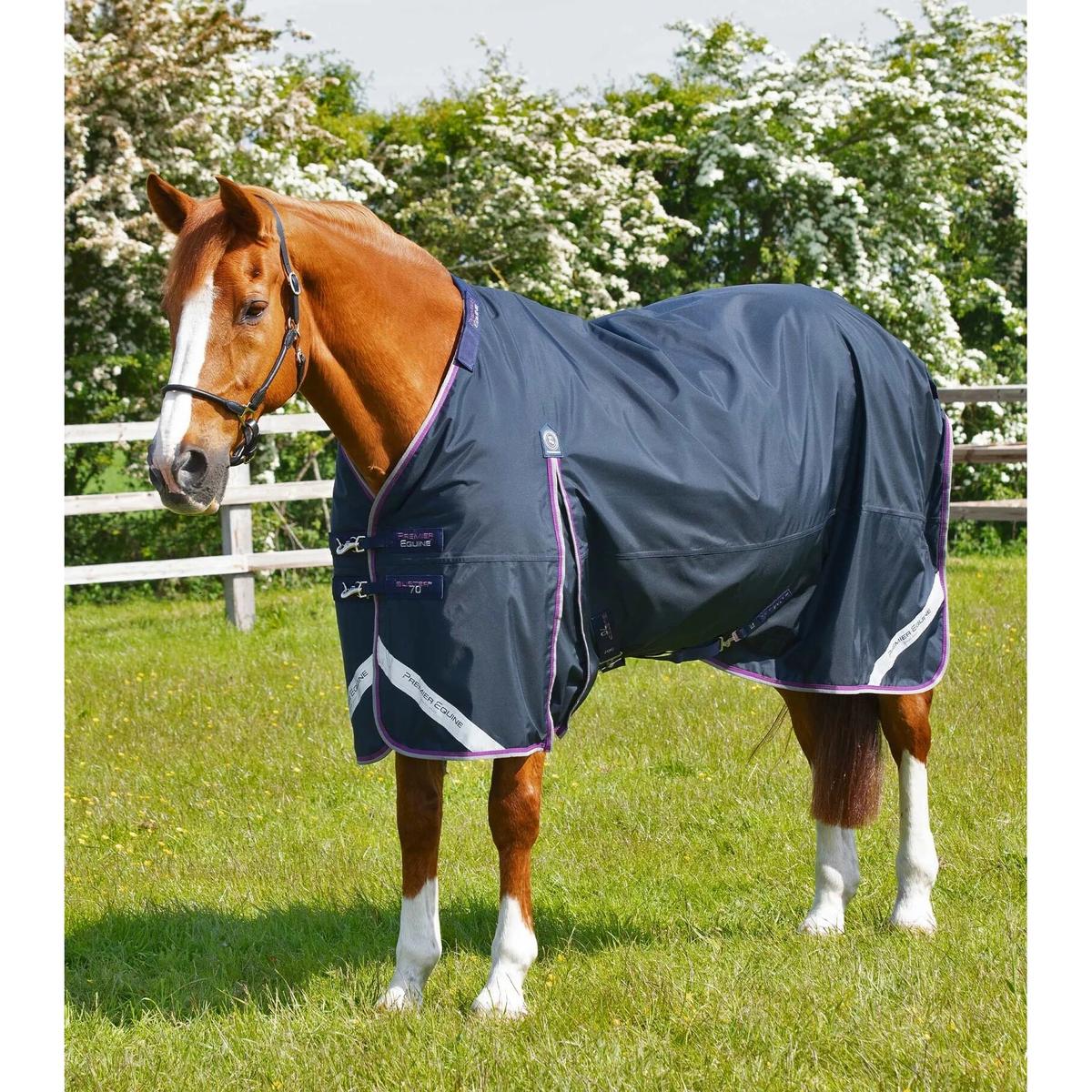 product/p/r/premier-equine_203750n_3.jpg
