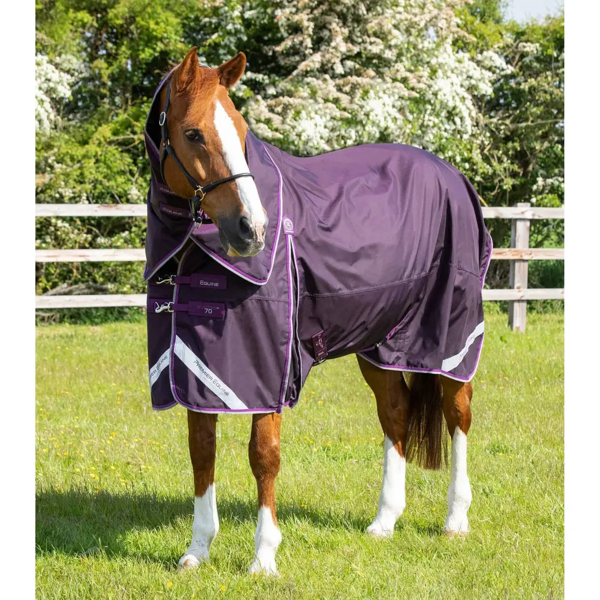 product/p/r/premier-equine_203750prp_1.jpg