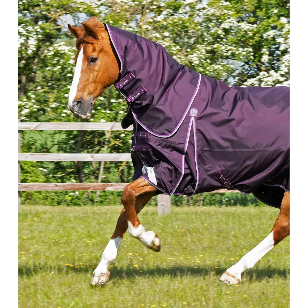 product/p/r/premier-equine_203750prp_2.jpg