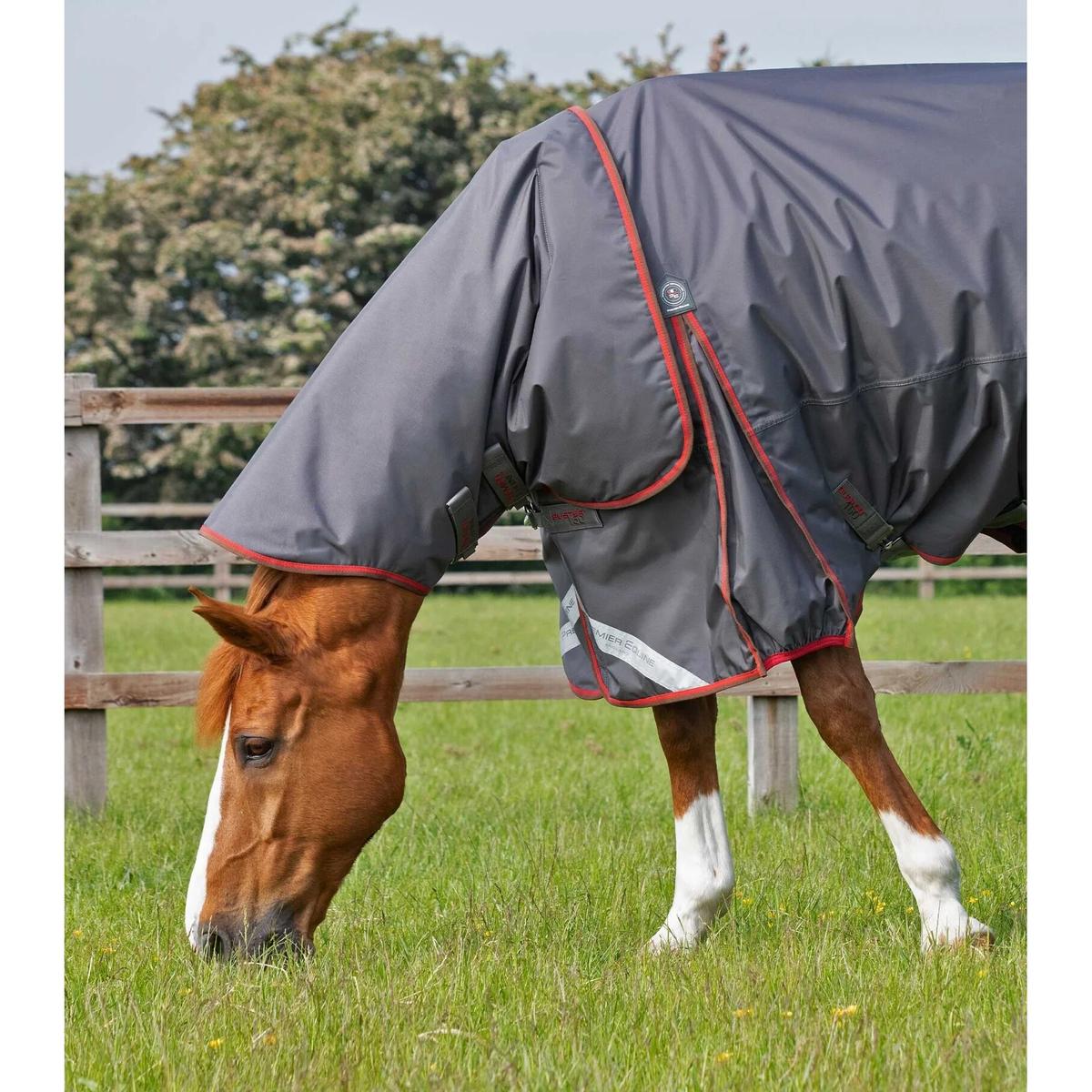 product/p/r/premier-equine_205950g_2.jpg