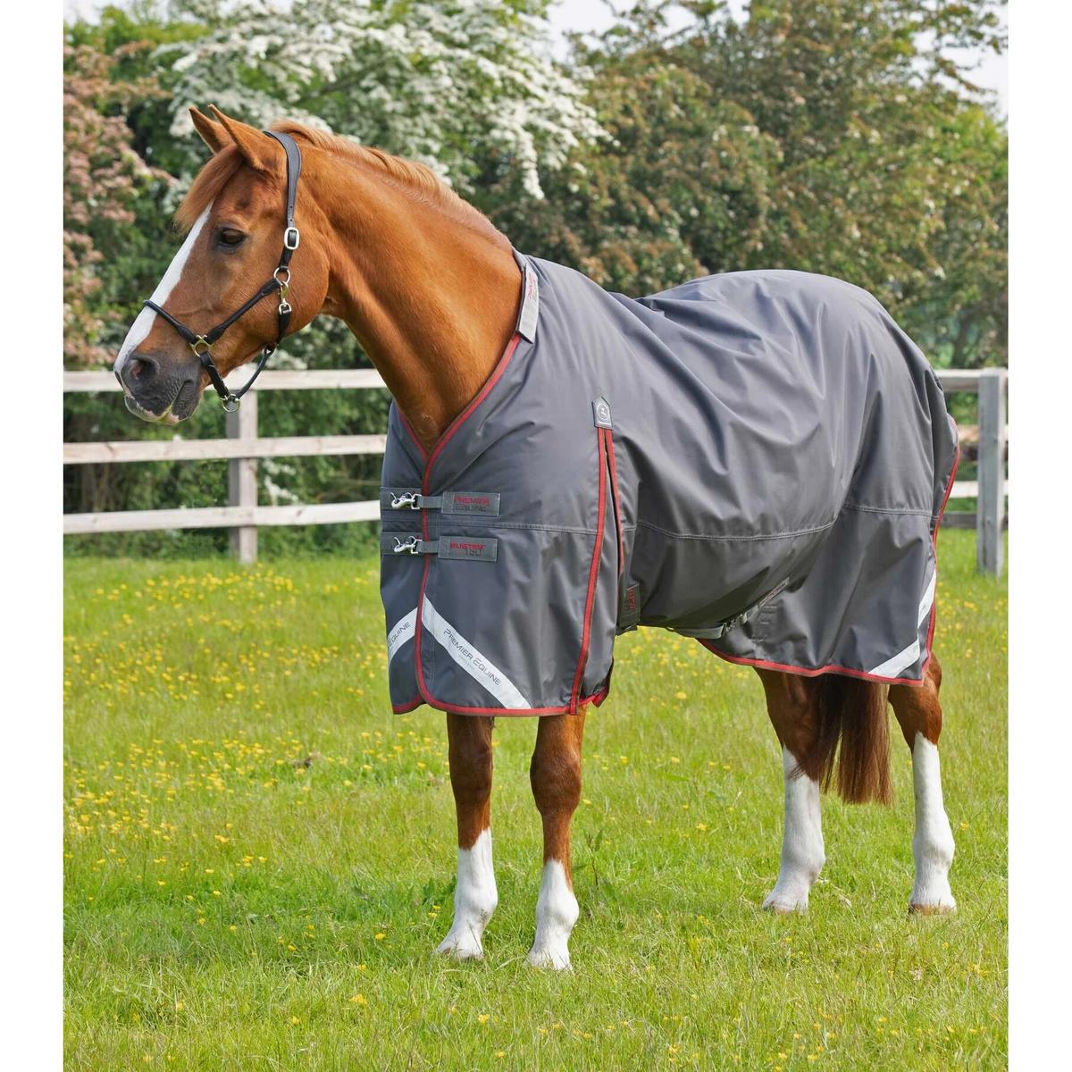 product/p/r/premier-equine_205950g_3.jpg