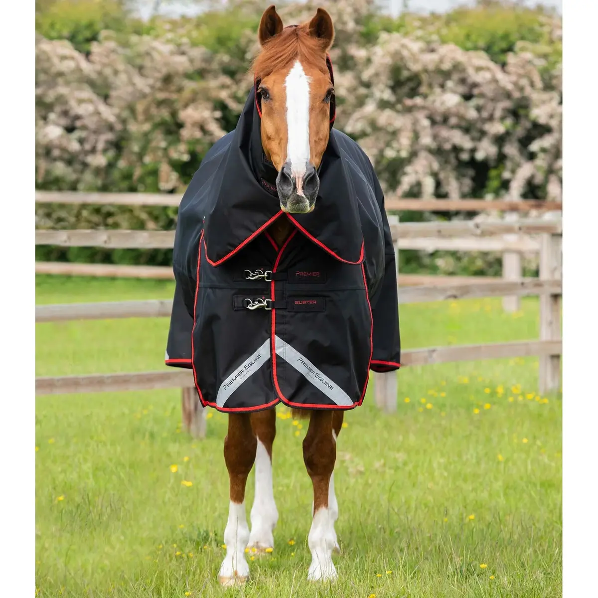 product/p/r/premier-equine_206250blk_2.jpg