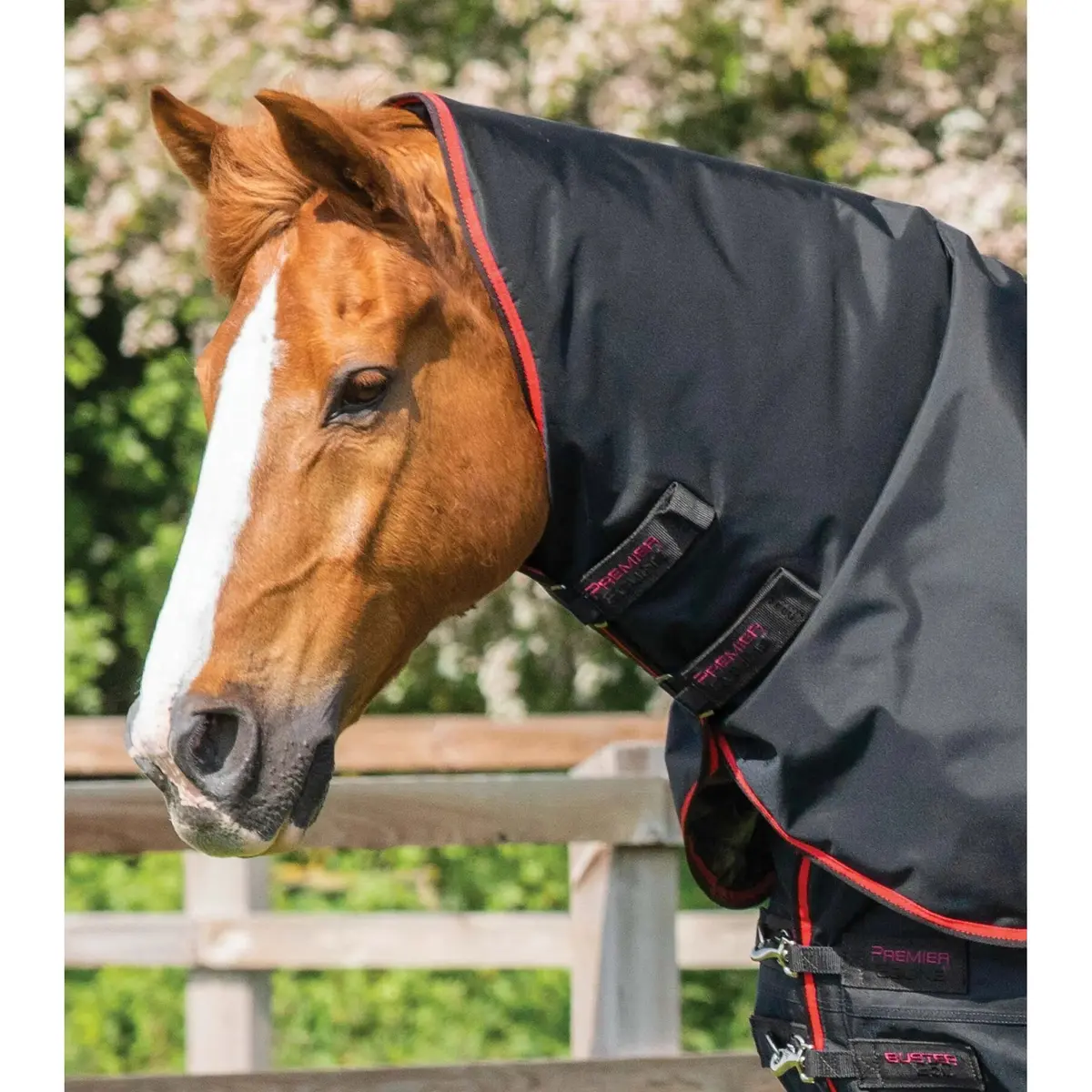 product/p/r/premier-equine_206250blk_3.jpg