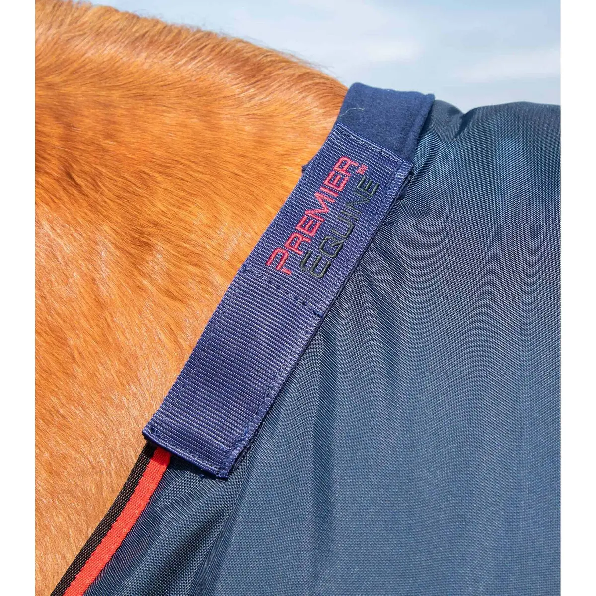 product/p/r/premier-equine_206250n_3.jpg