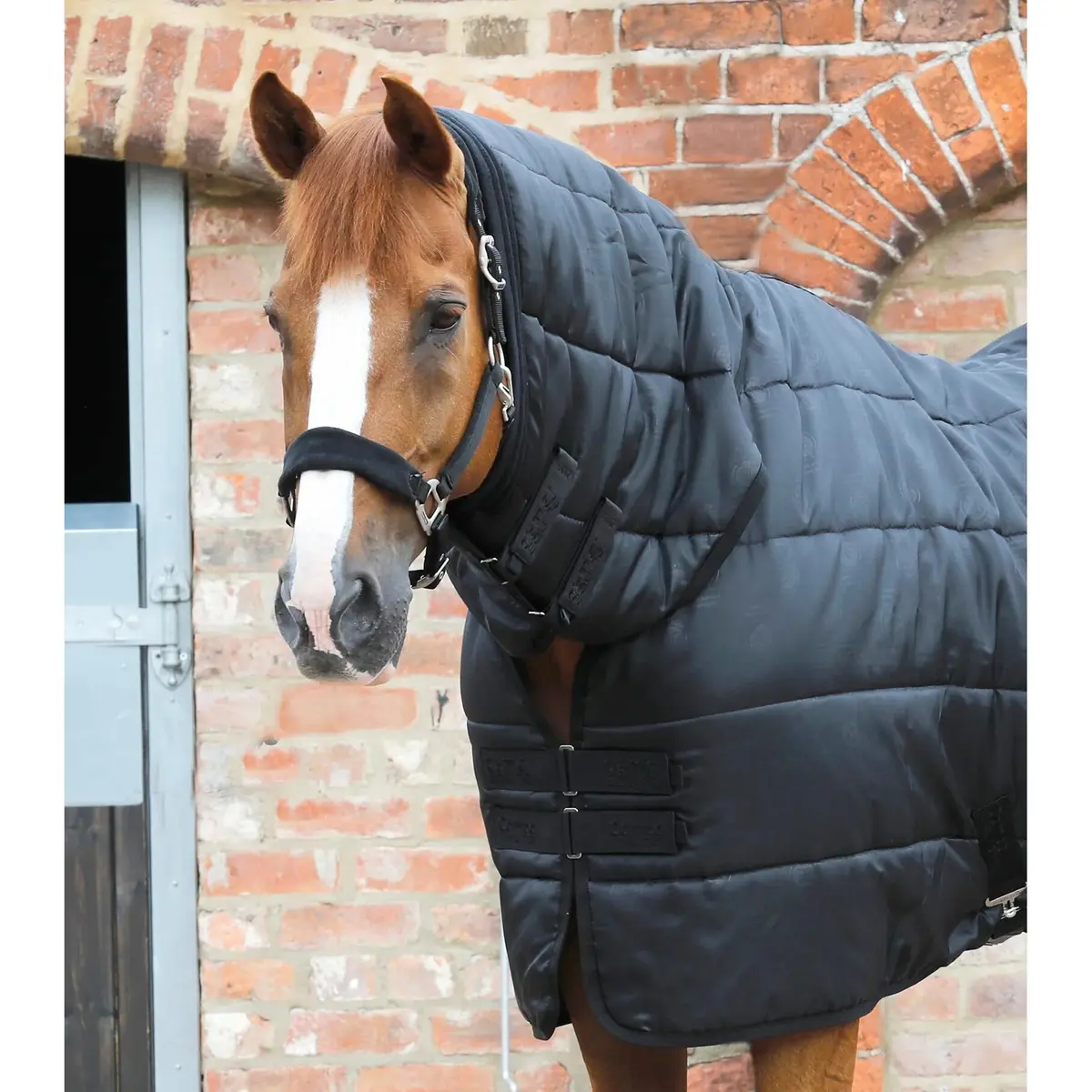 product/p/r/premier-equine_206510050_5.jpg