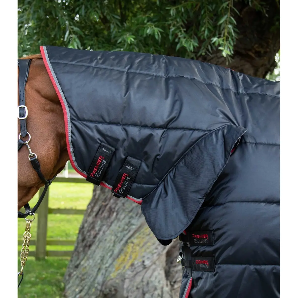 product/p/r/premier-equine_206650b_2.jpg