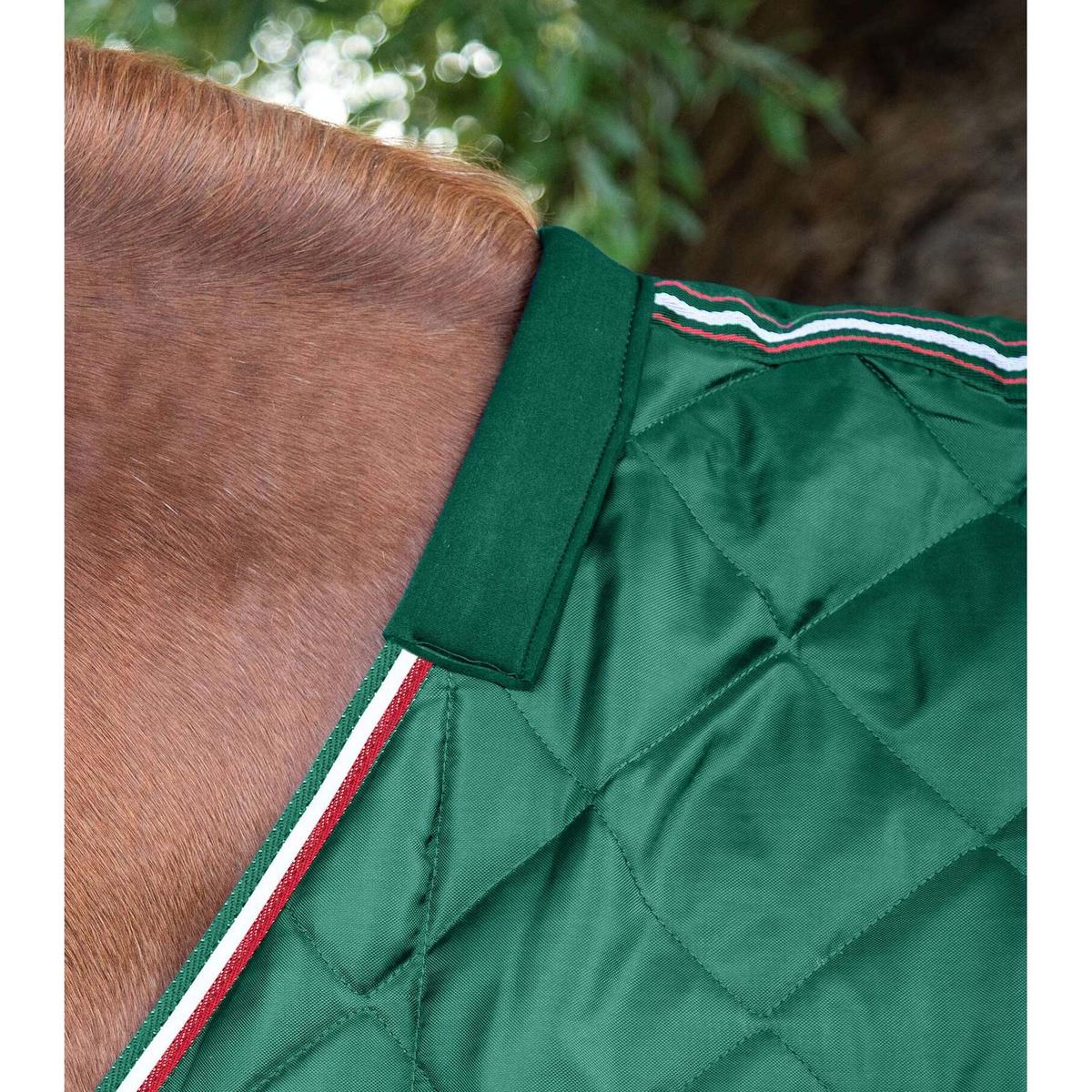 product/p/r/premier-equine_207073grn_green_2.jpg