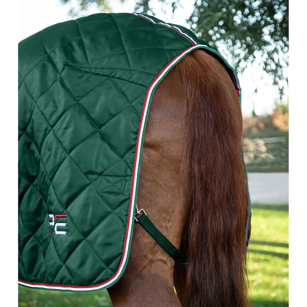 product/p/r/premier-equine_207073grn_green_5.jpg
