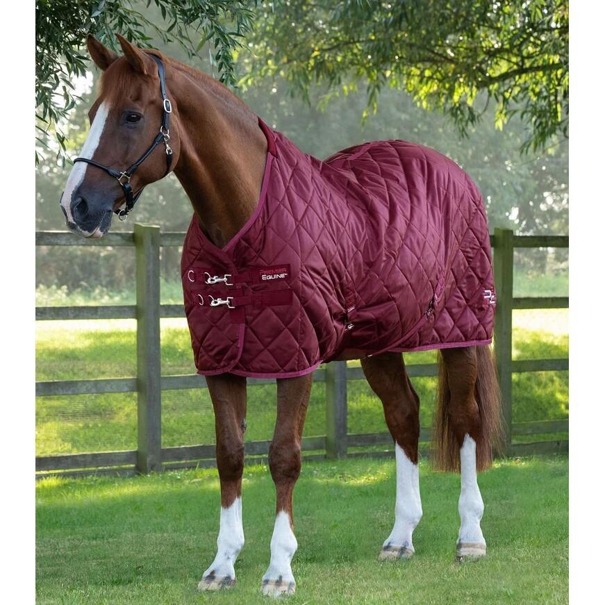 product/p/r/premier-equine_207250brg_1.jpg