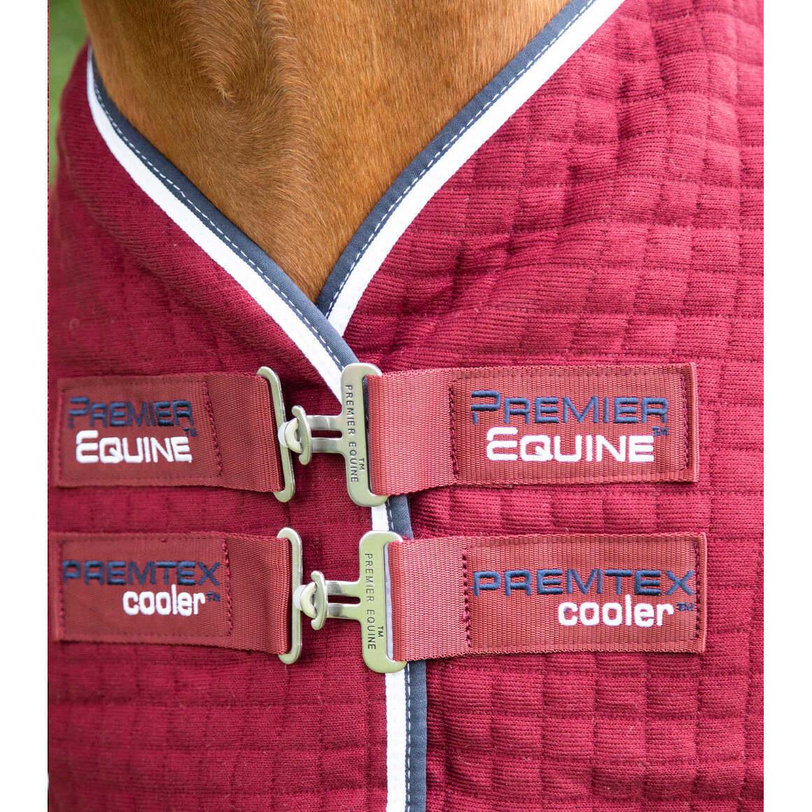 product/p/r/premier-equine_209450brg_burgundy_2.jpg