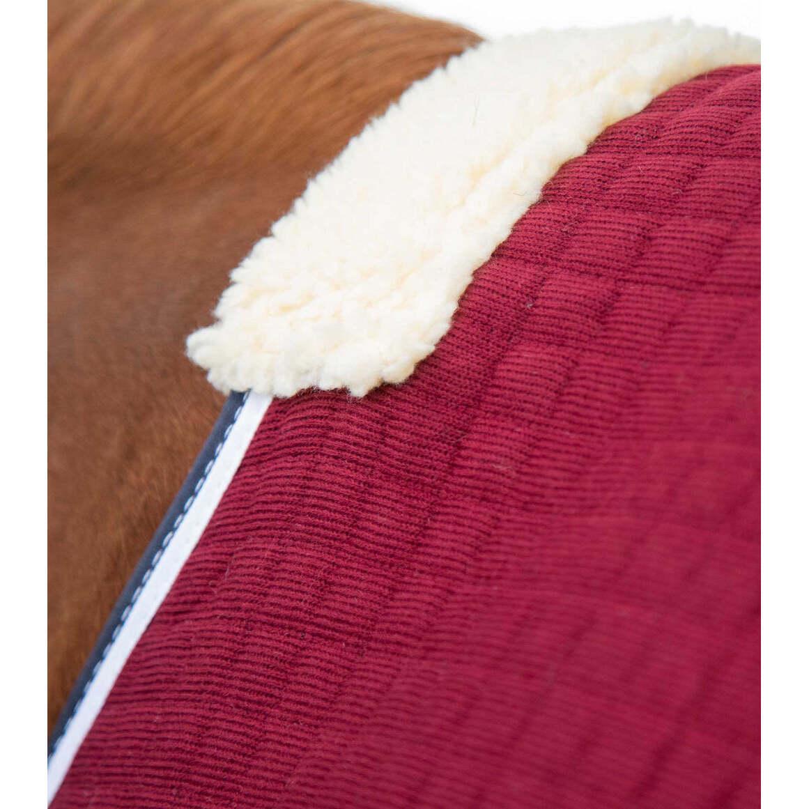 product/p/r/premier-equine_209450brg_burgundy_3.jpg