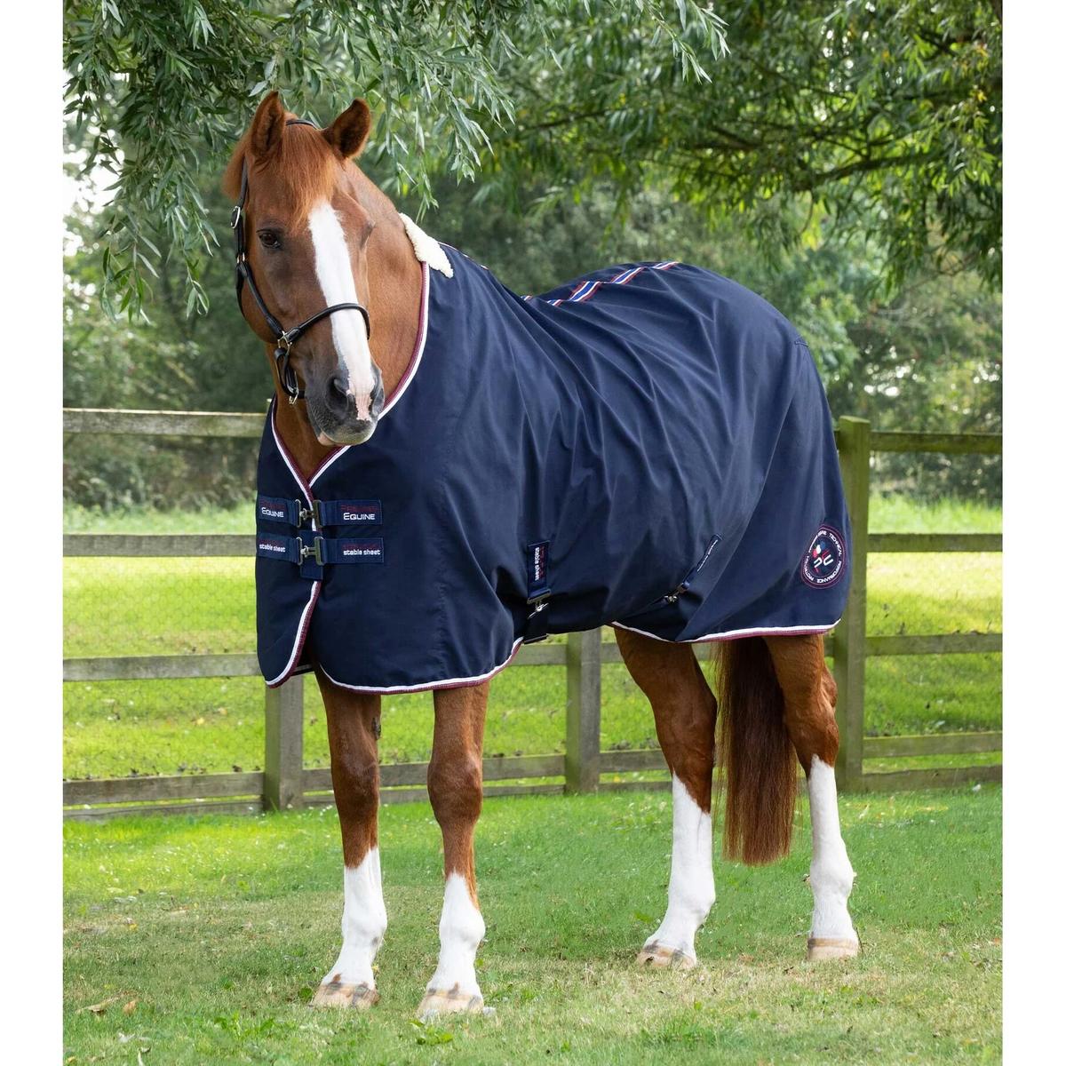 product/p/r/premier-equine_215450n_1.jpg