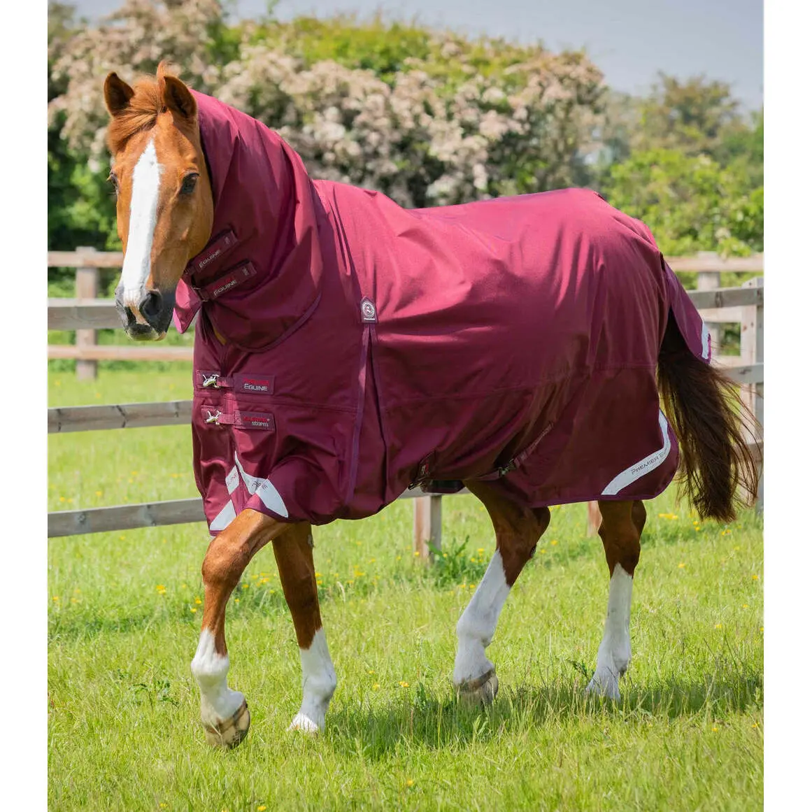 product/p/r/premier-equine_215750brg_burgundy_1.jpg