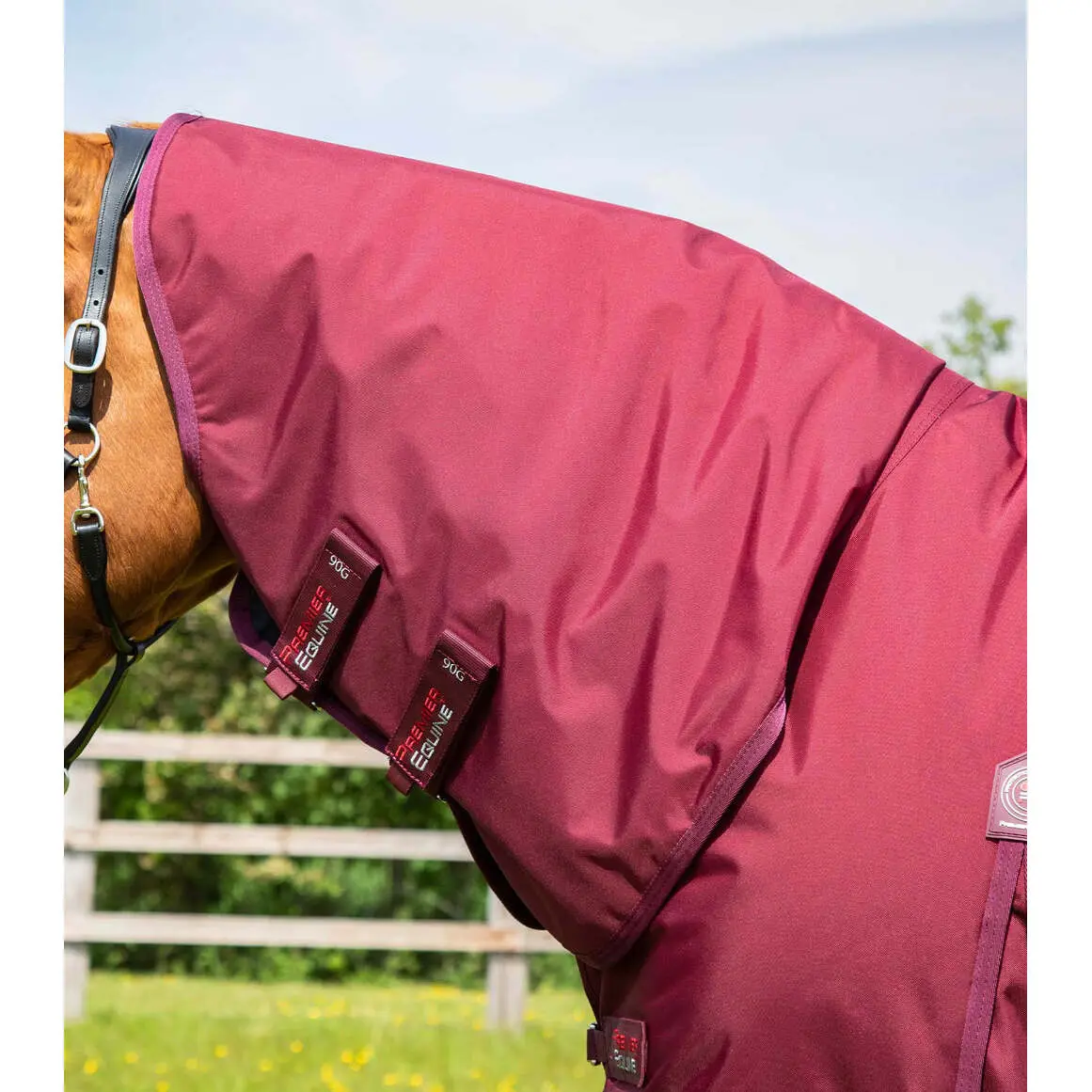 product/p/r/premier-equine_215750brg_burgundy_2.jpg