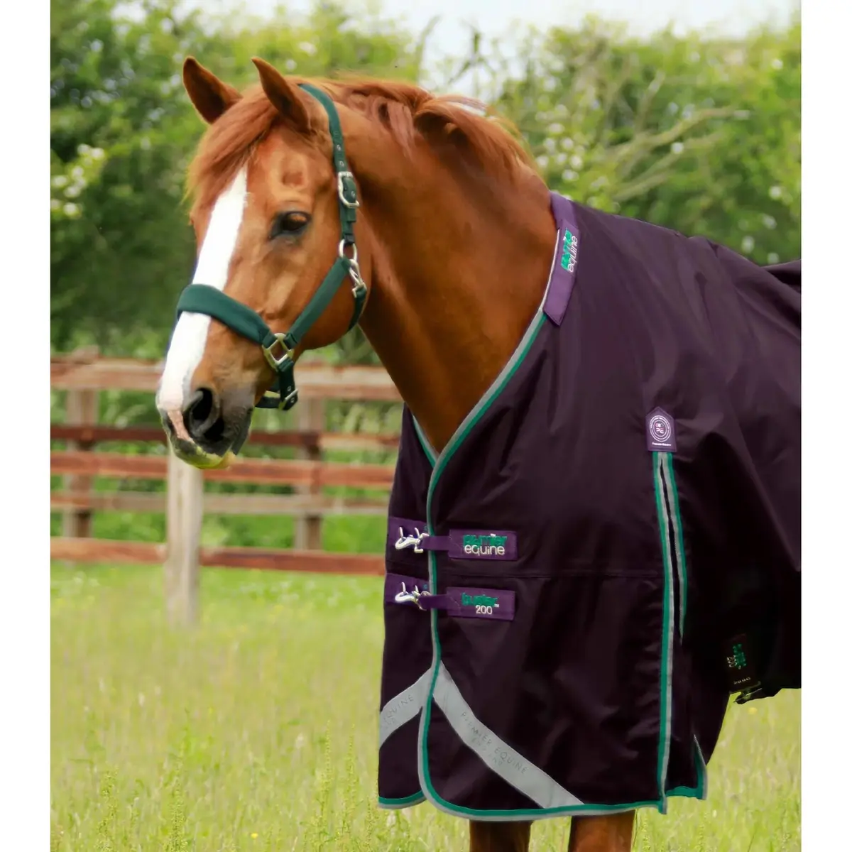 product/p/r/premier-equine_219850p_2.jpg