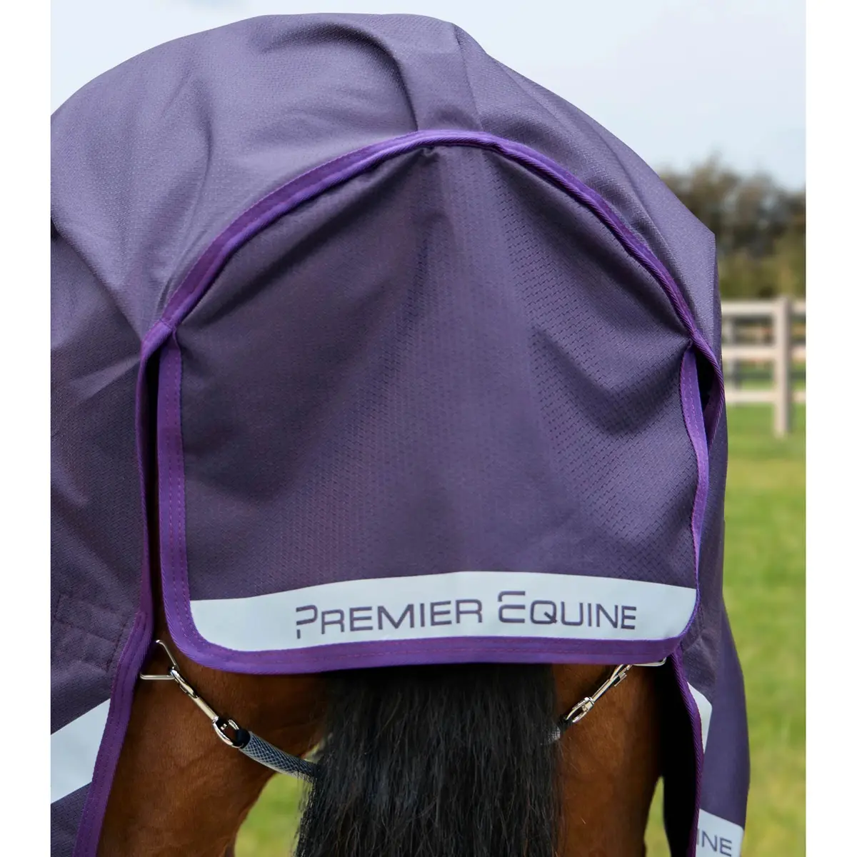 product/p/r/premier-equine_240050p_purple_6.jpg