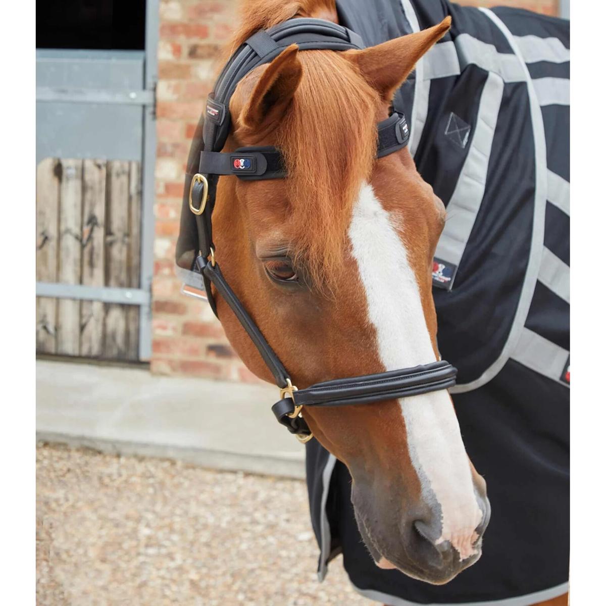 product/p/r/premier-equine_6000_2.jpg