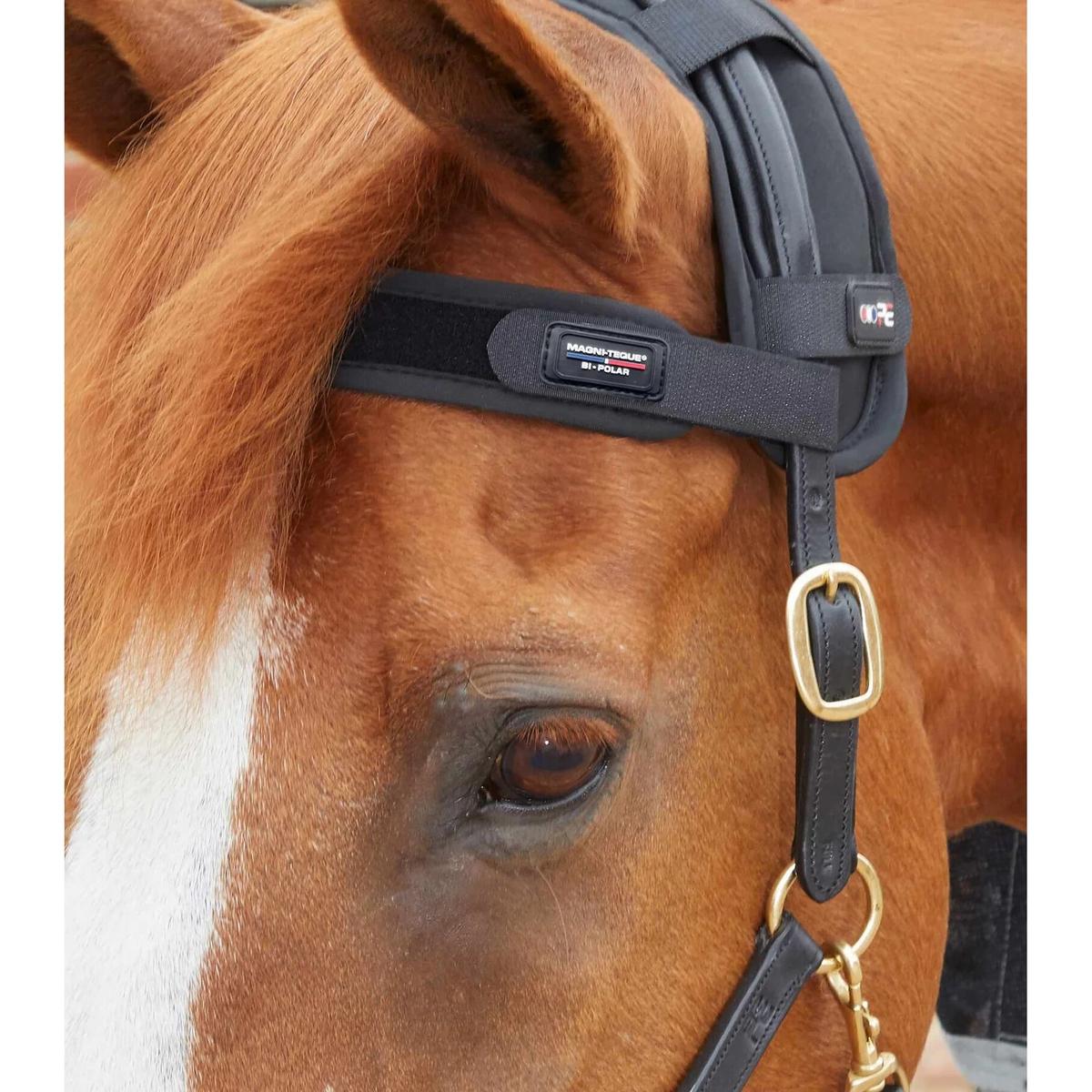 product/p/r/premier-equine_6000_3.jpg