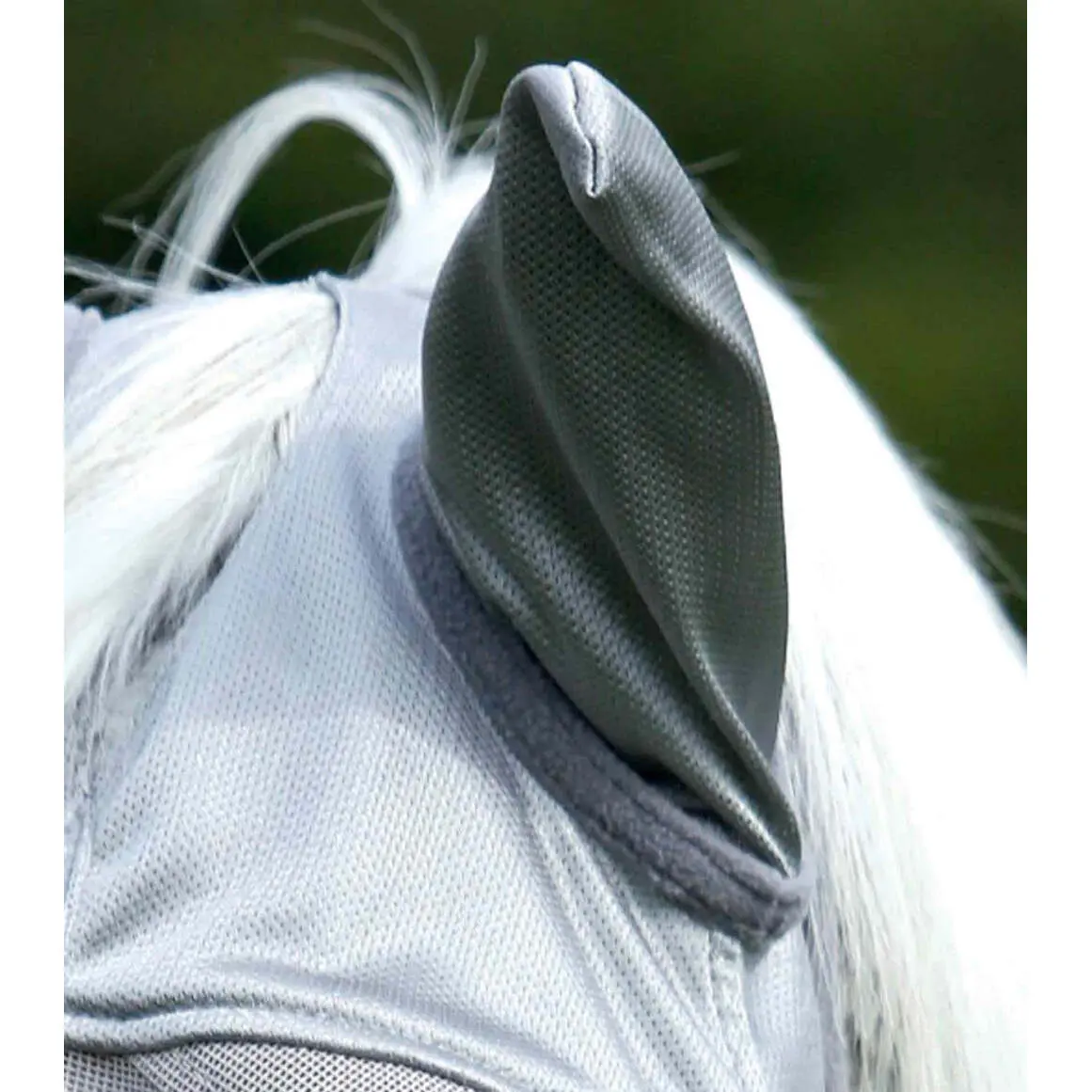 product/p/r/premier-equine_6003l_silver_3.jpg