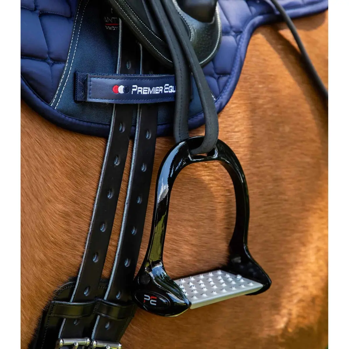 product/p/r/premier-equine_6097-blk_1.jpg
