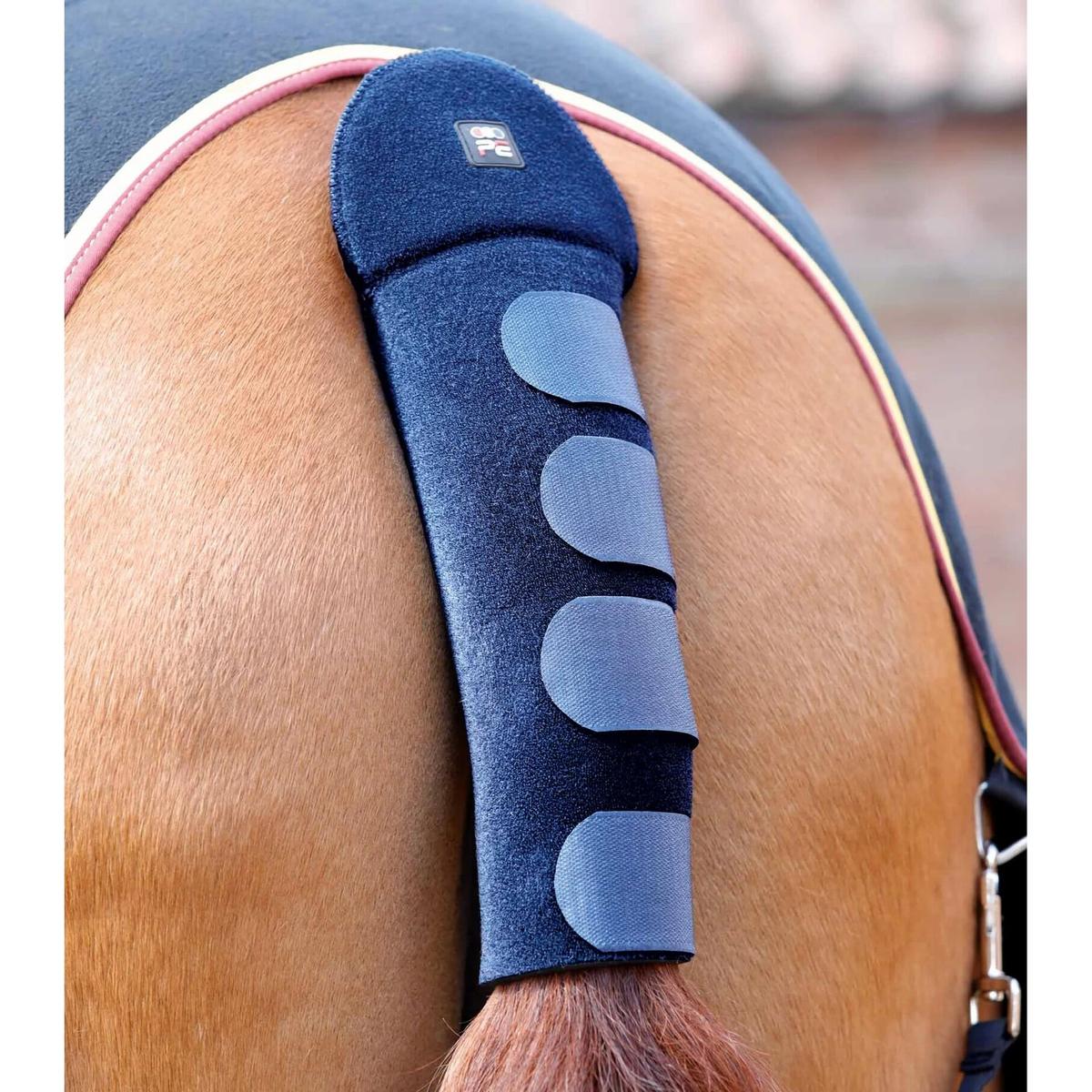 product/p/r/premier-equine_6135n.jpg