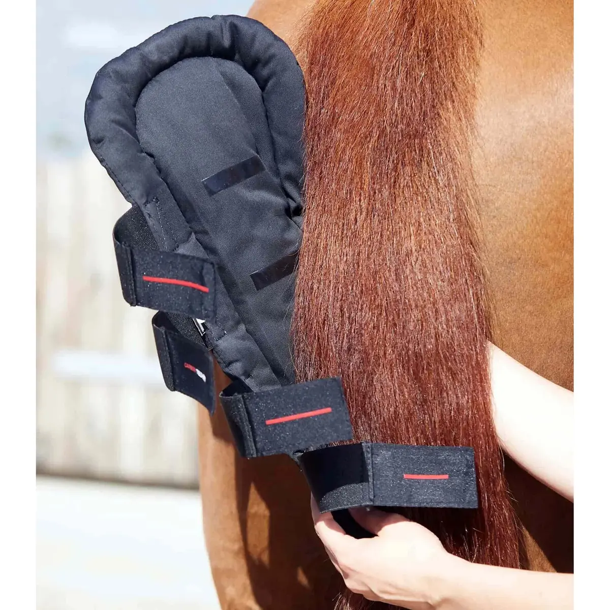 product/p/r/premier-equine_6136blk_2.jpg