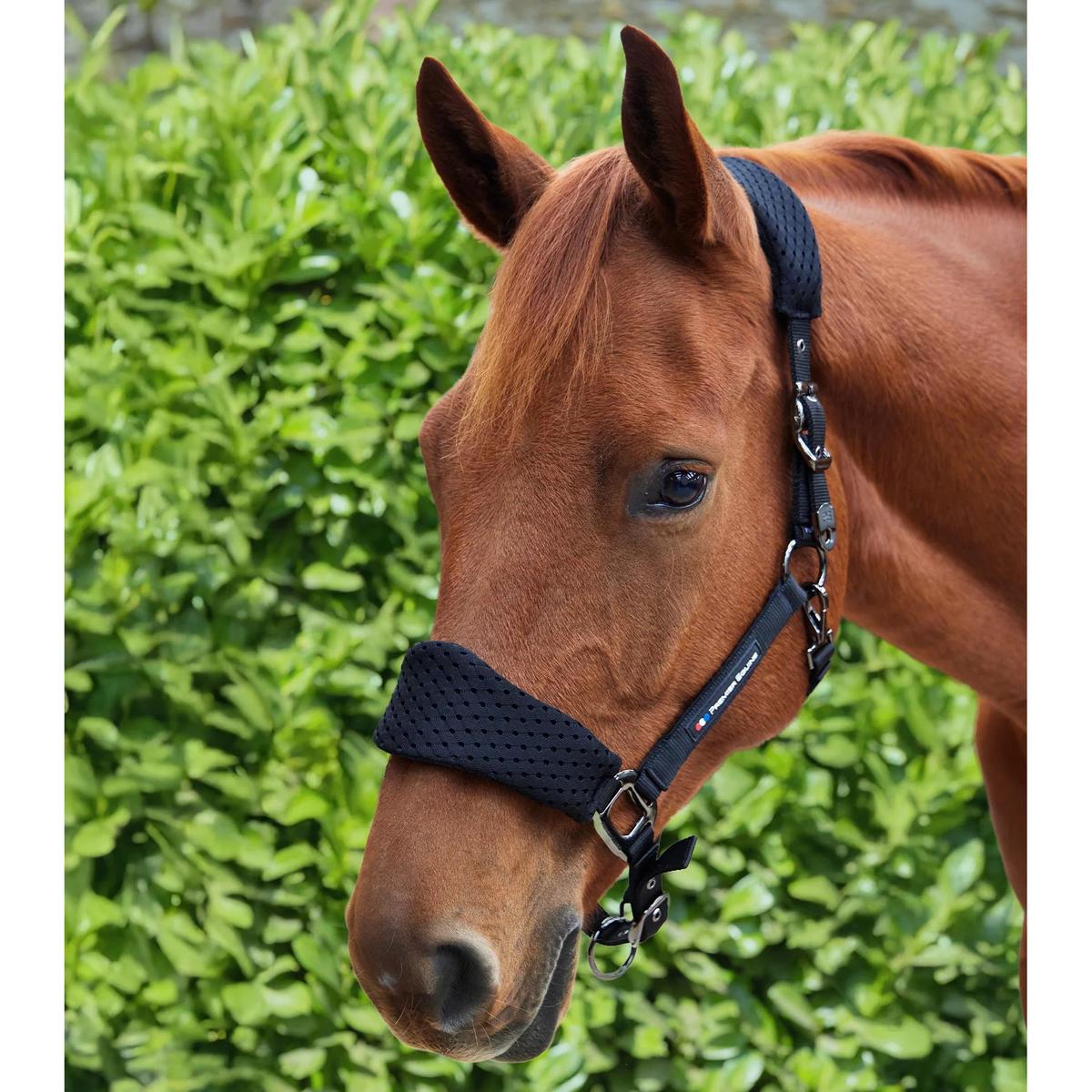 product/p/r/premier-equine_6152cblk_black_6.jpg