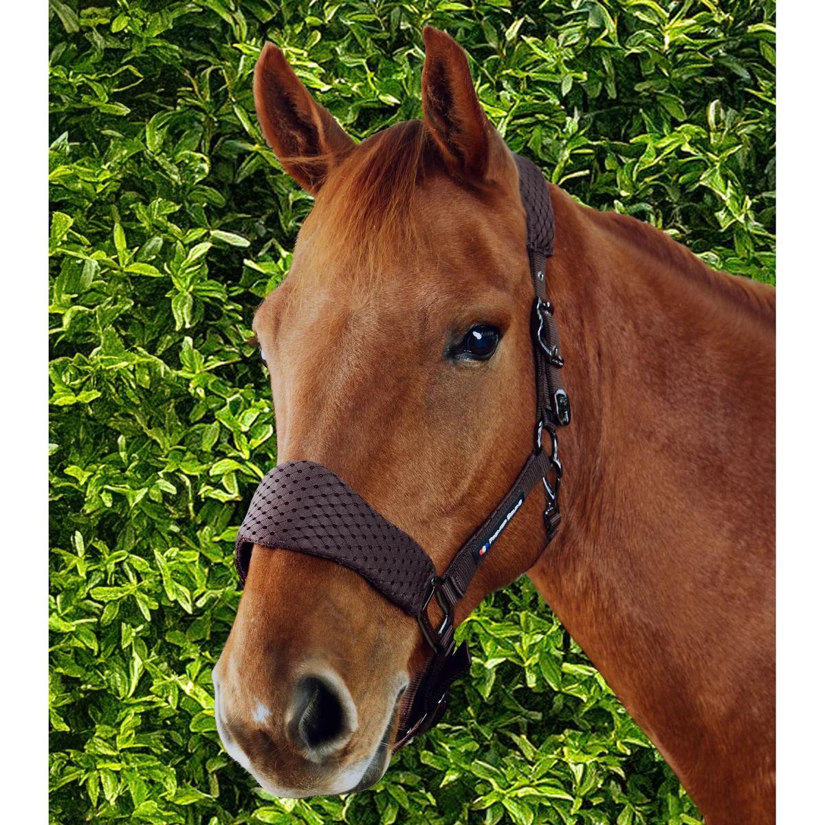 product/p/r/premier-equine_6152cbrw_brown_6.jpg