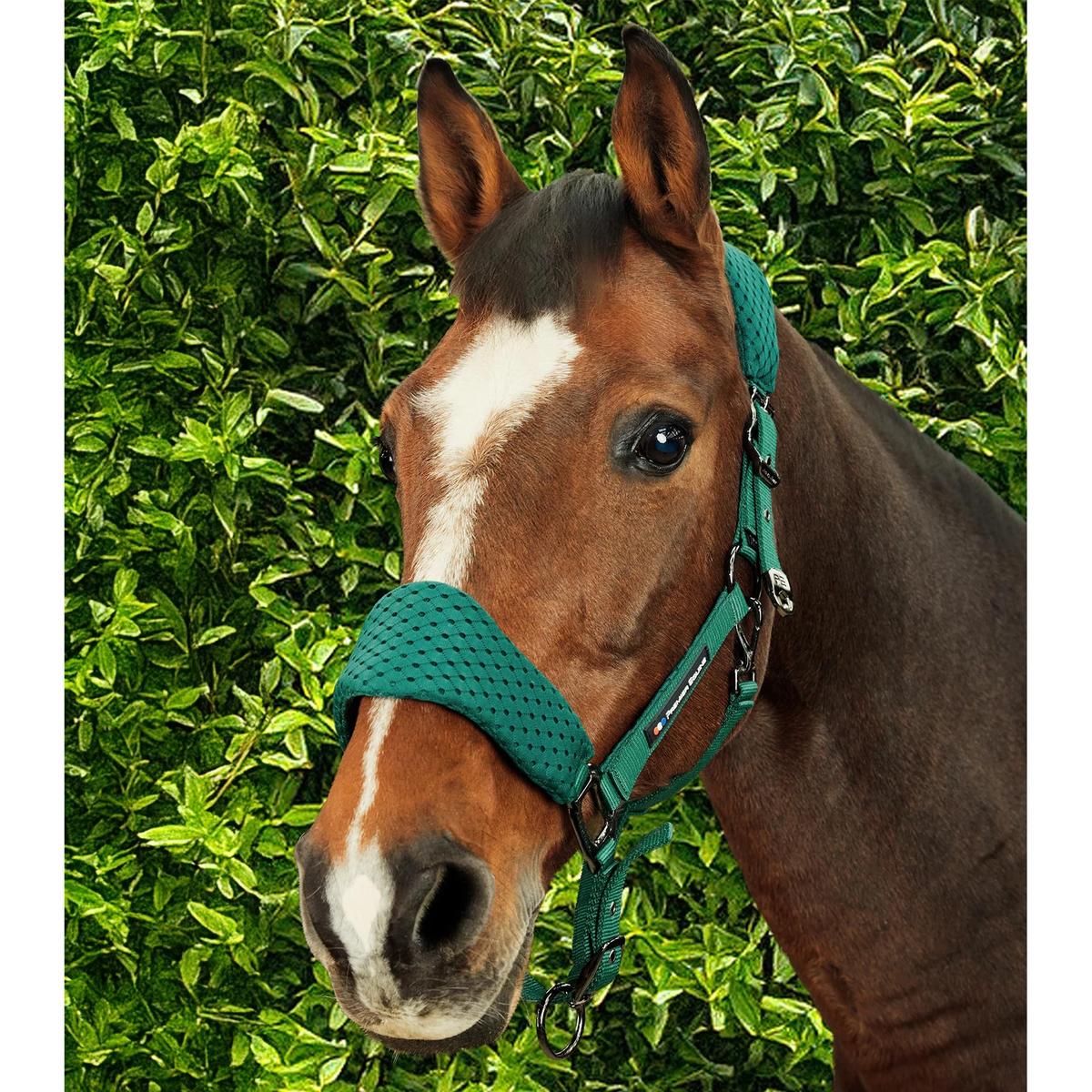 product/p/r/premier-equine_6152cgrn_green_6.jpg